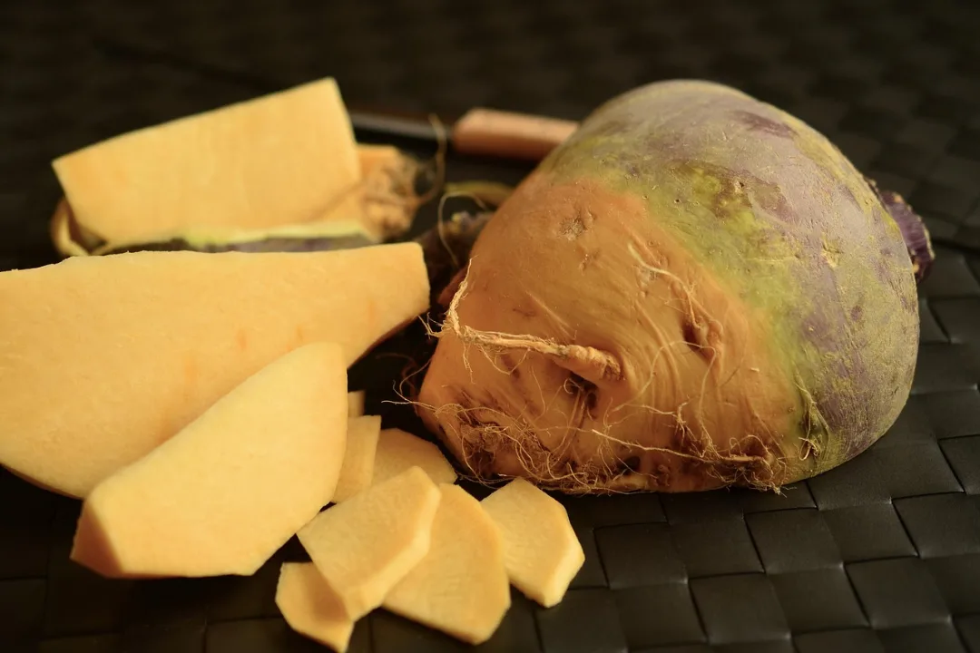 Rutabaga entier et tranches de sa chair jaune dense