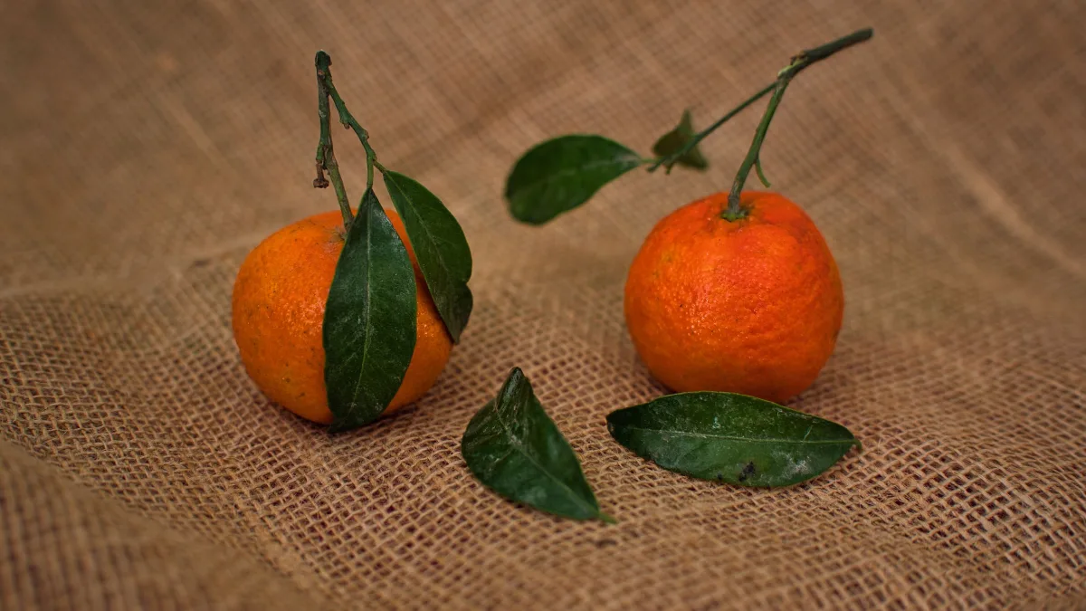 Clémentines avec feuilles sur fond de bois, fruit de saison hivernal