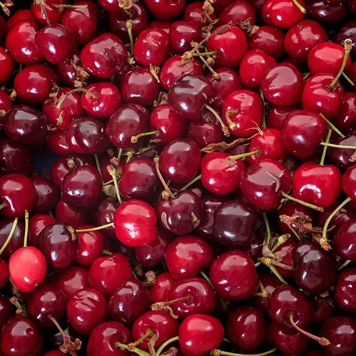 Photo de Cerise