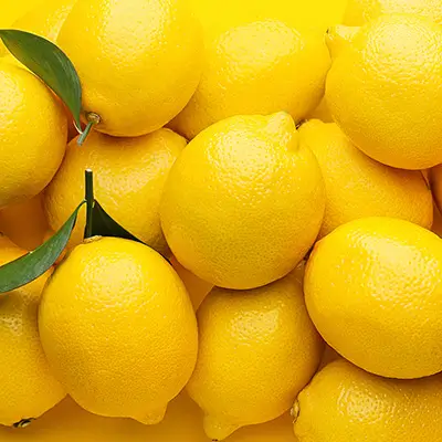 Citrons frais en pleine saison