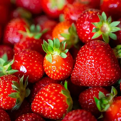 Fraises fraîches de saison sur fond neutre
