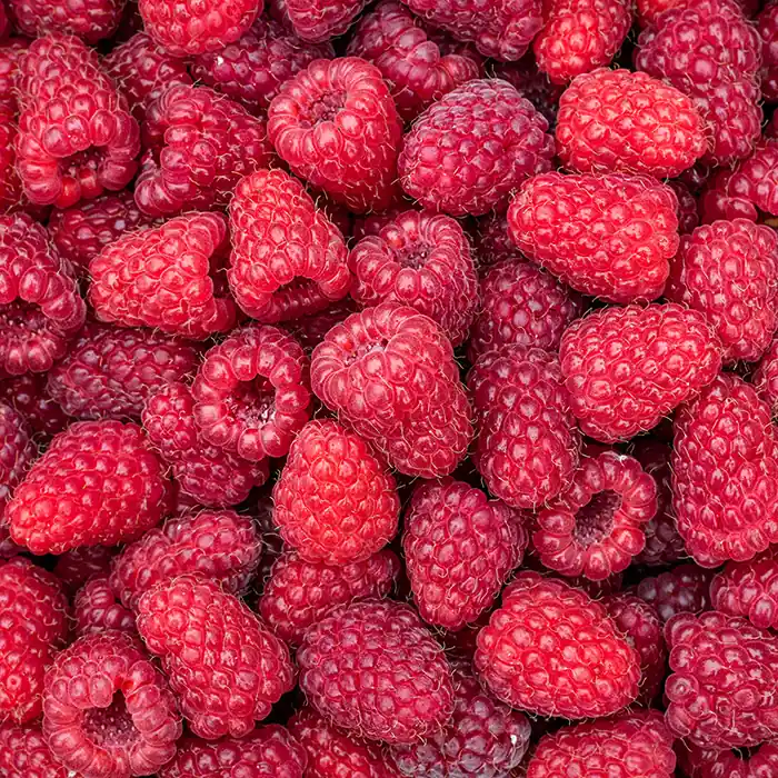 Photo de Framboise