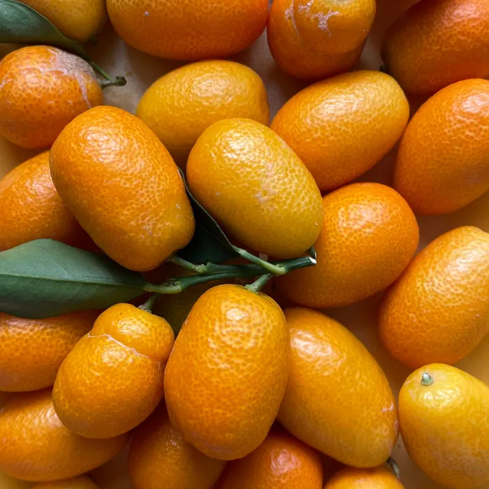 Photo de Kumquat