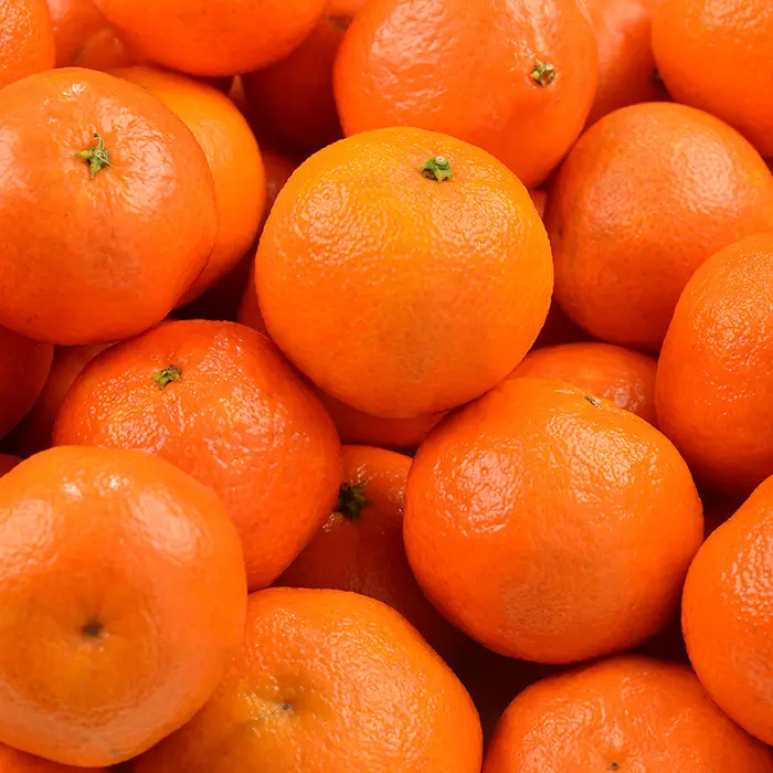 Photo de Mandarine