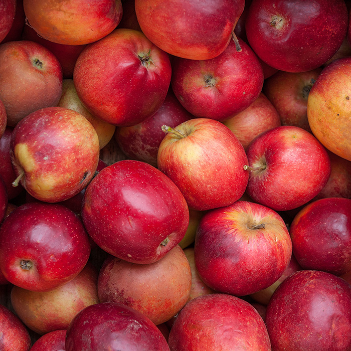 Pommes de saison françaises sur un étal de marché