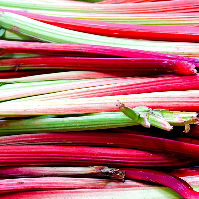 Photo de Rhubarbe