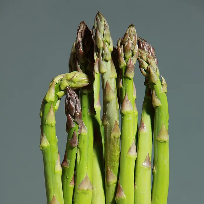 Photo de Asperge