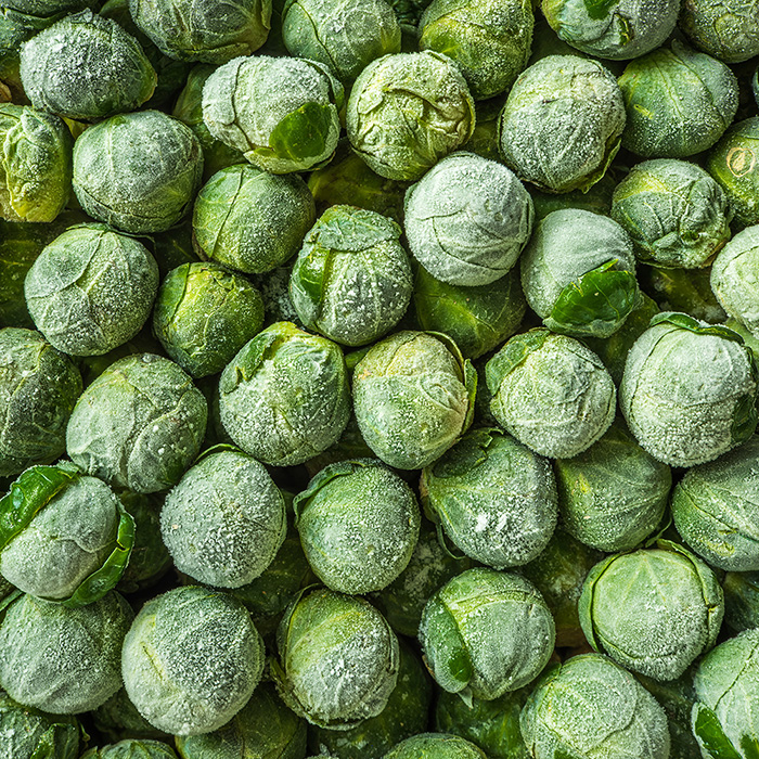 Chou de Bruxelles