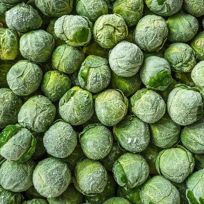 Photo de Chou de Bruxelles