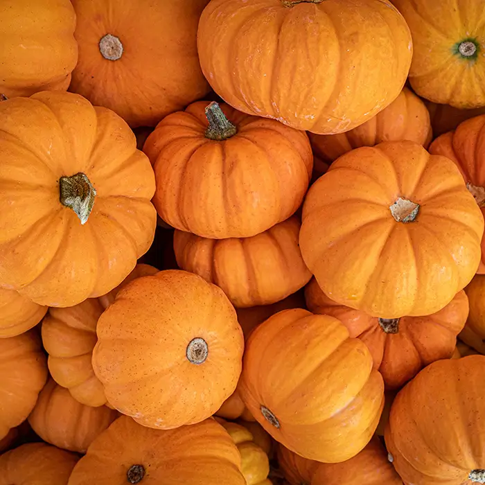 Photo de Citrouille