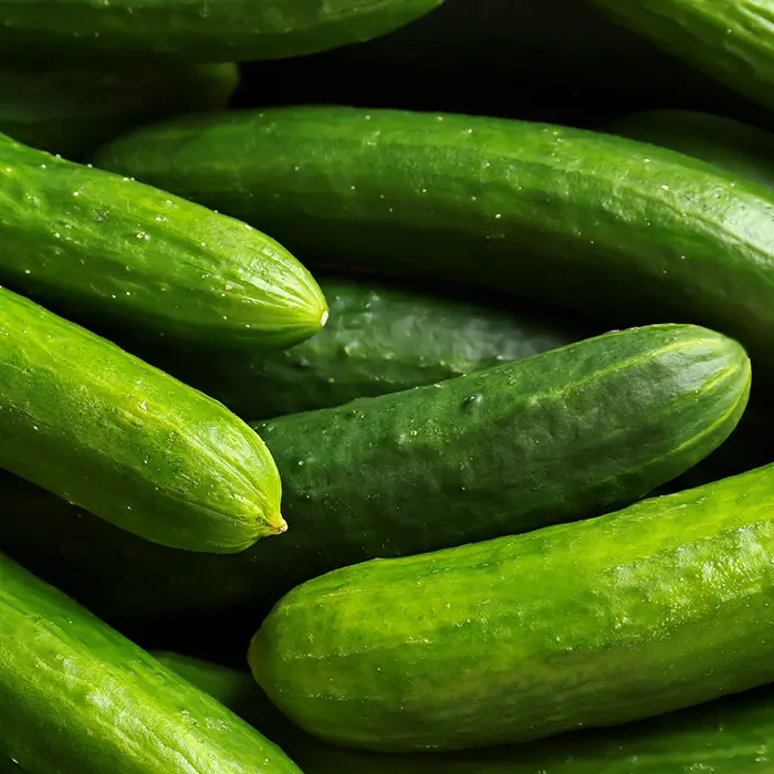 Photo de Concombre