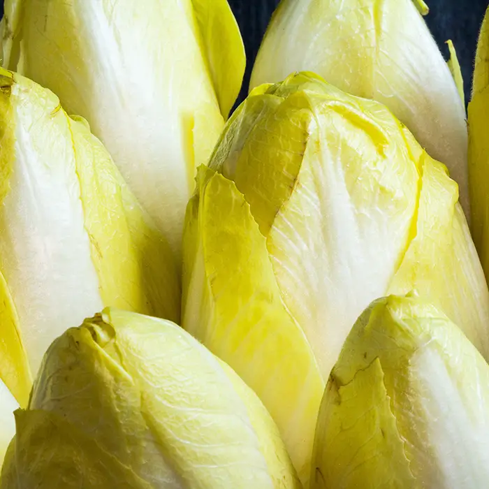 Photo de Endive