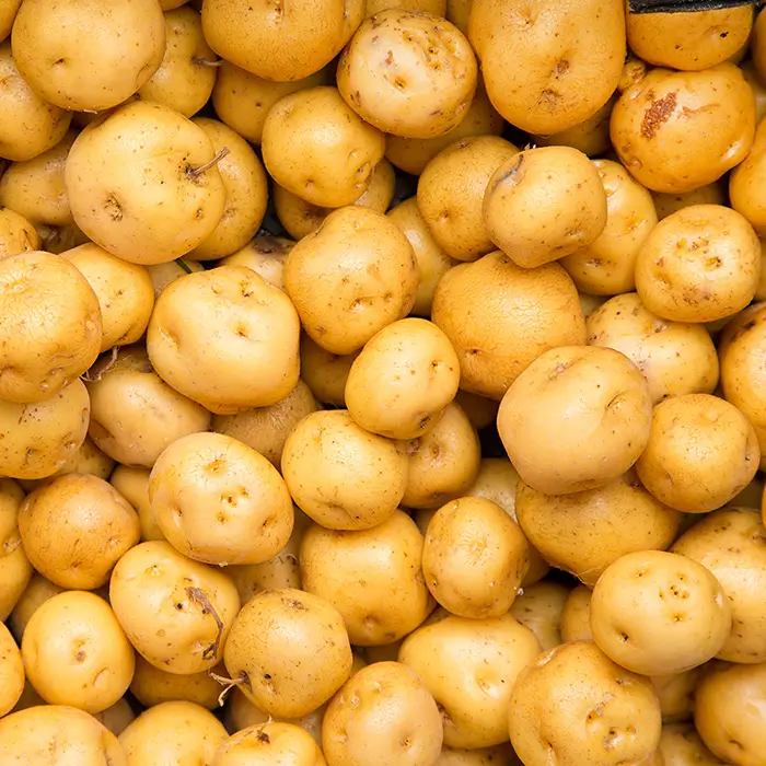 Photo de Pomme de terre