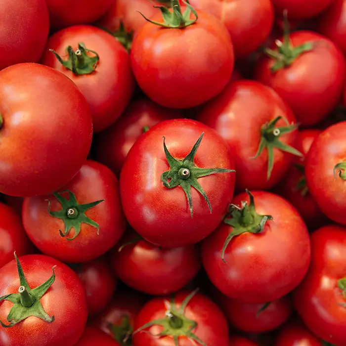 Photo de Tomate