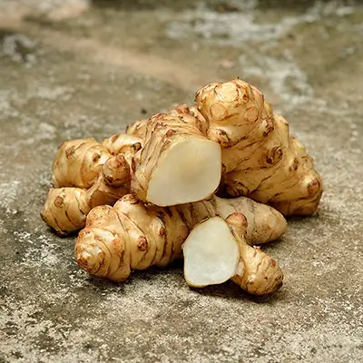 Topinambour frais sur fond neutre